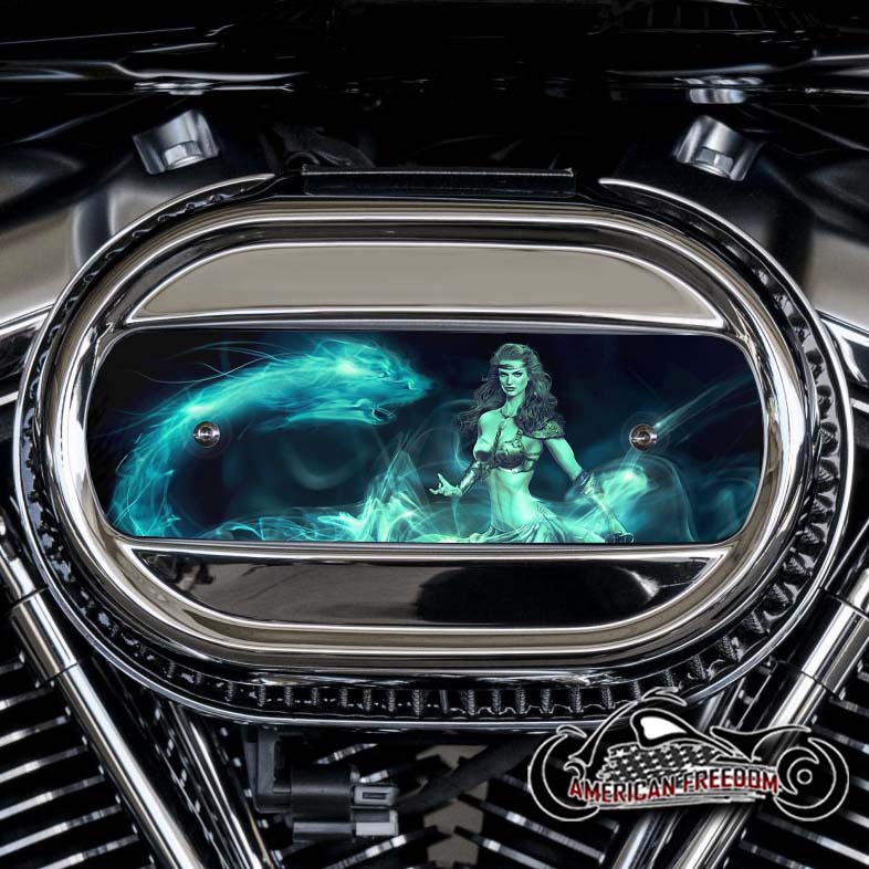 Harley Davidson M8 Ventilator Insert - Dragon Mistress